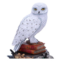 Figura Hedwig Harry Potter